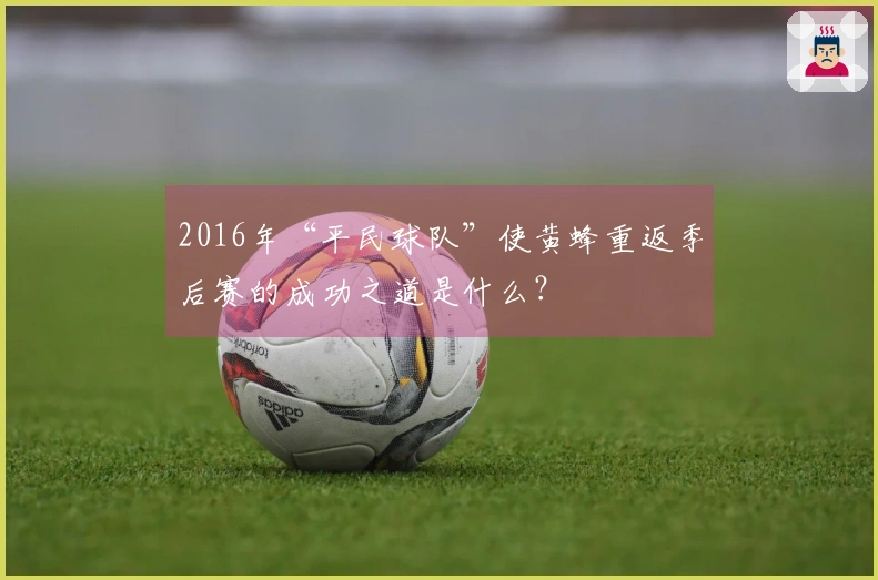 2016年“平民球队”使黄蜂重返季后赛的成功之道是什么？