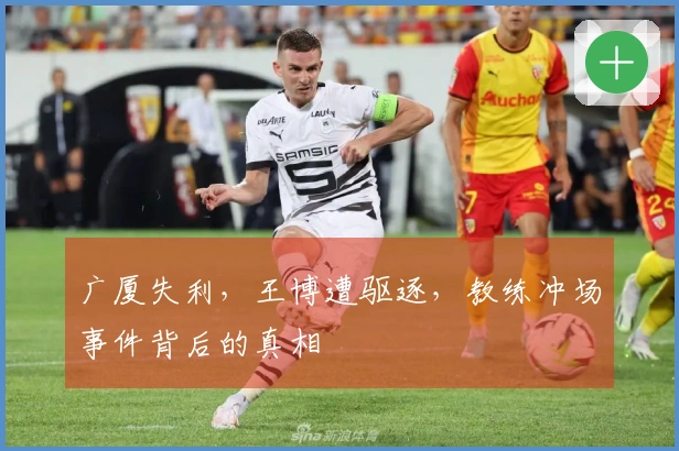 广厦失利，王博遭驱逐，教练冲场事件背后的真相